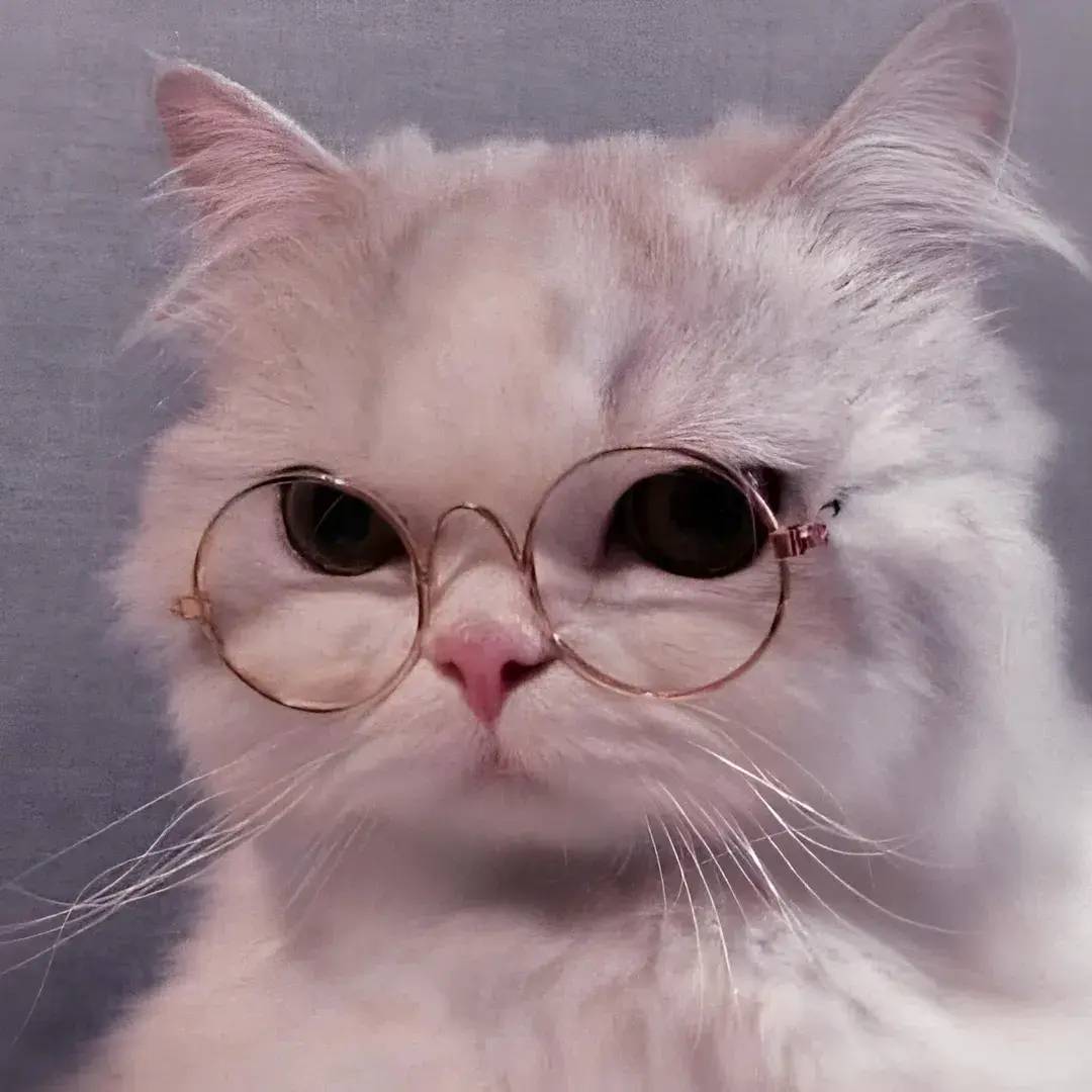 Professor Purrington